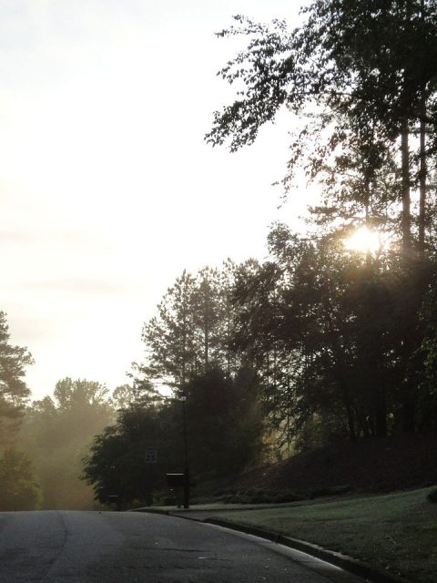 tus habitos de cada dia
